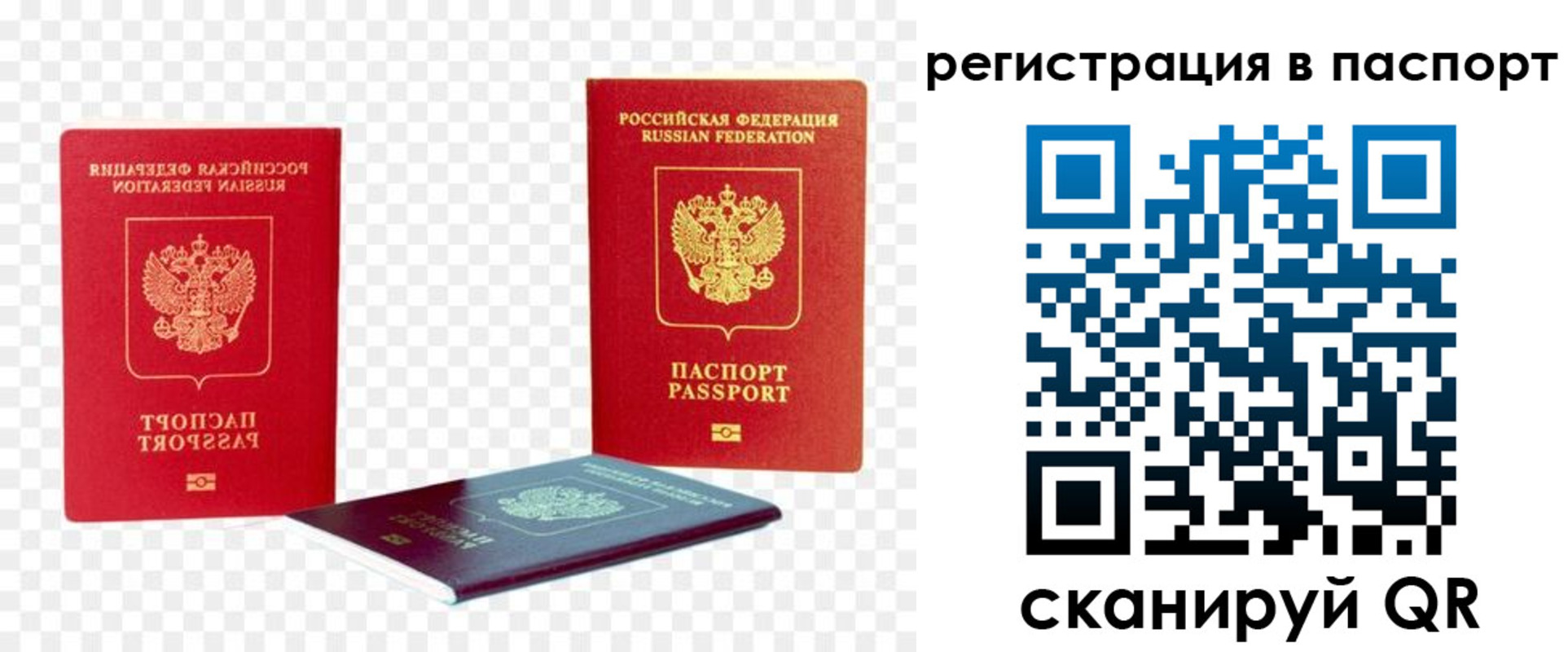 временная регистрация поиск в Таре